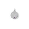 Engravable Rhodium Plated CZ Pendant - February Birthstone